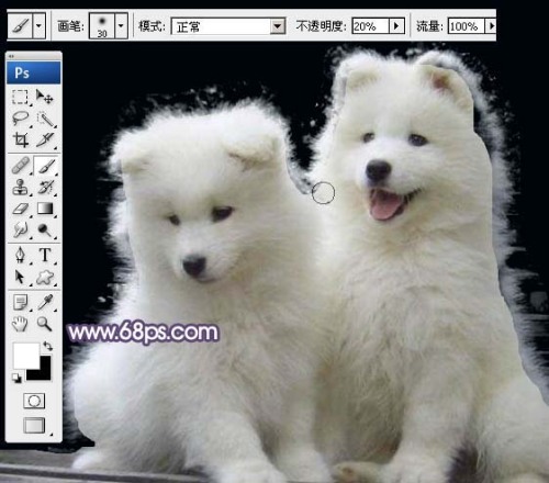 Photoshop技巧：抽出滤镜抠出白色的小狗